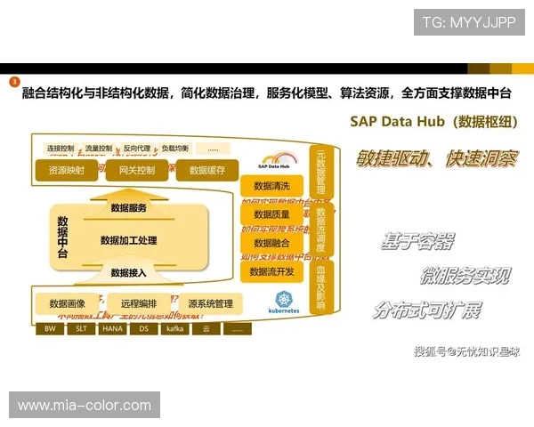 开云数字站助力企业数字化转型实现高效管理与创新发展 开云数字站助力企业数字化转型实现高效管理与创新发展